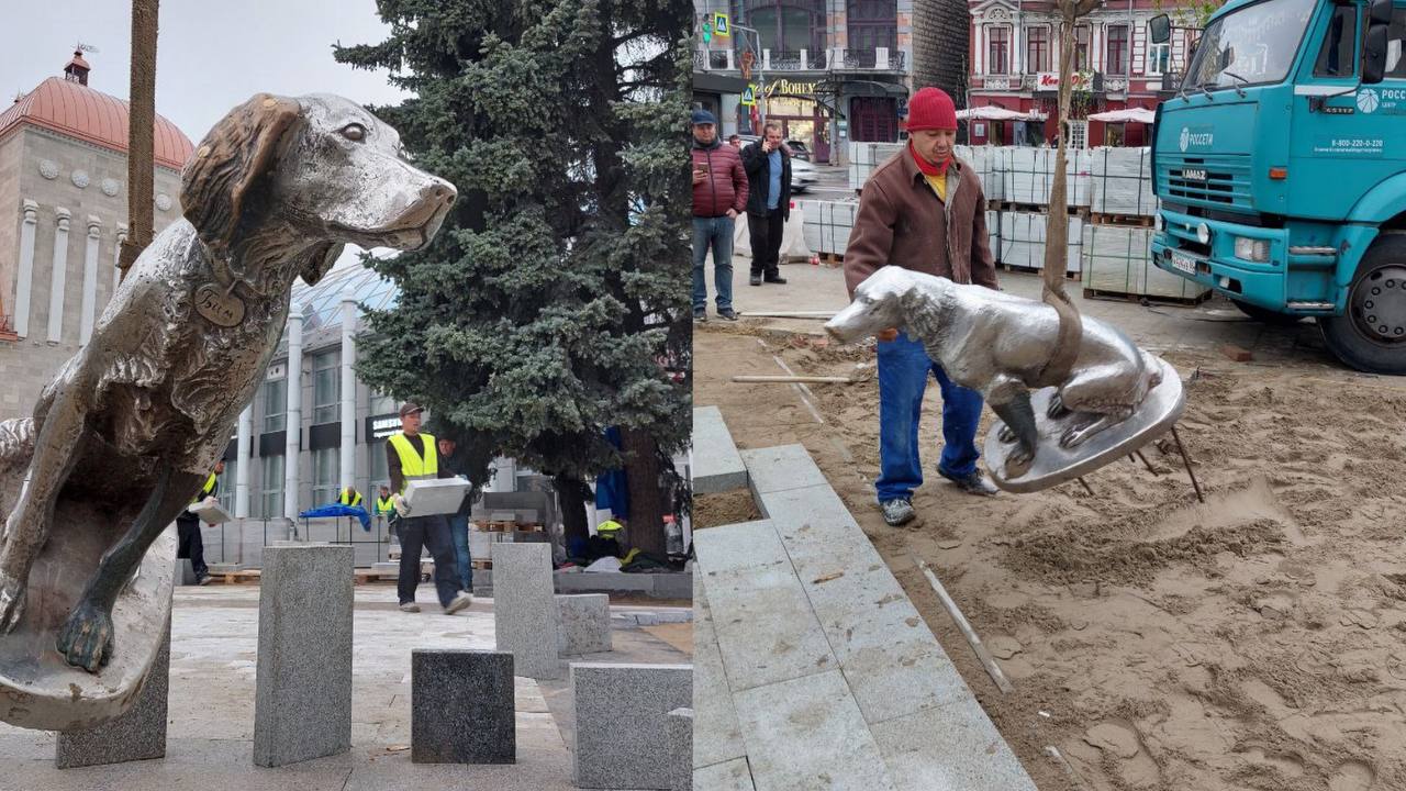 Белый Бим спустя год вернулся на главную улицу Воронежа – Новости Воронежа  и Воронежской области – Вести Воронеж