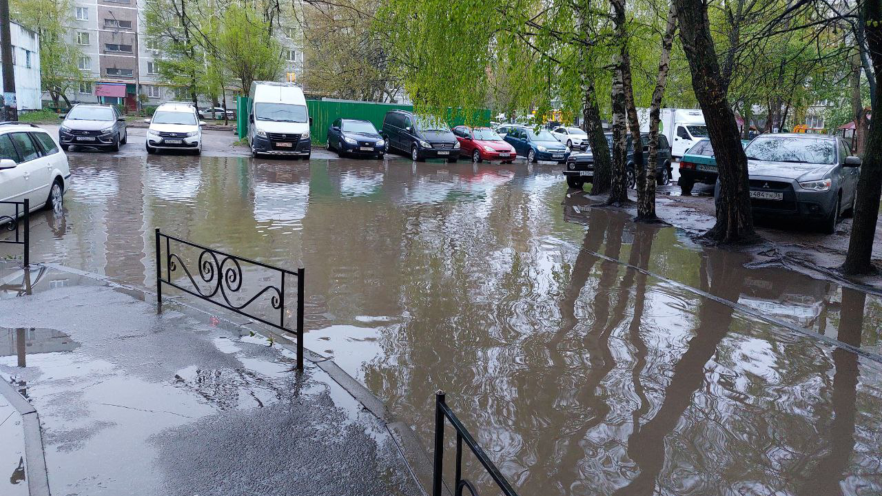 Воронежцы сняли на видео затопленный после ливня двор на Лизюкова – Новости  Воронежа и Воронежской области – Вести Воронеж