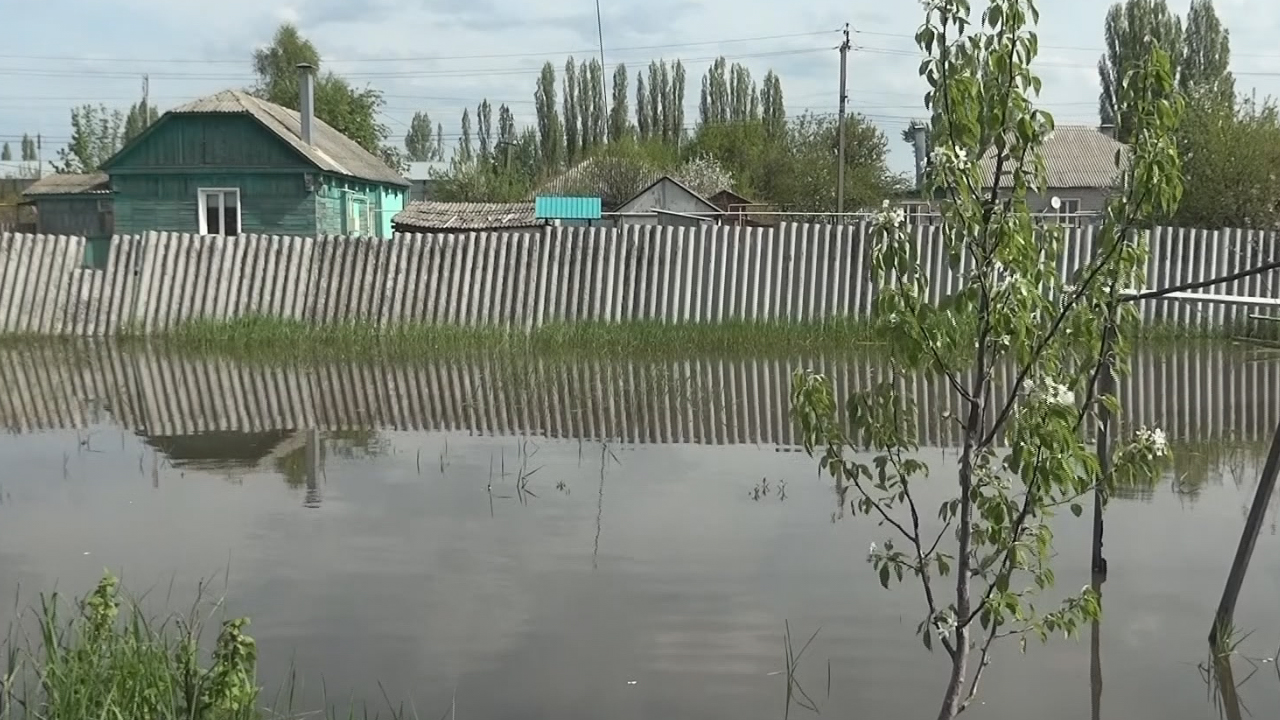 Сотни семей без урожая. Микрорайон в воронежском райцентре затопило грунтовыми  водами – Новости Воронежа и Воронежской области – Вести Воронеж