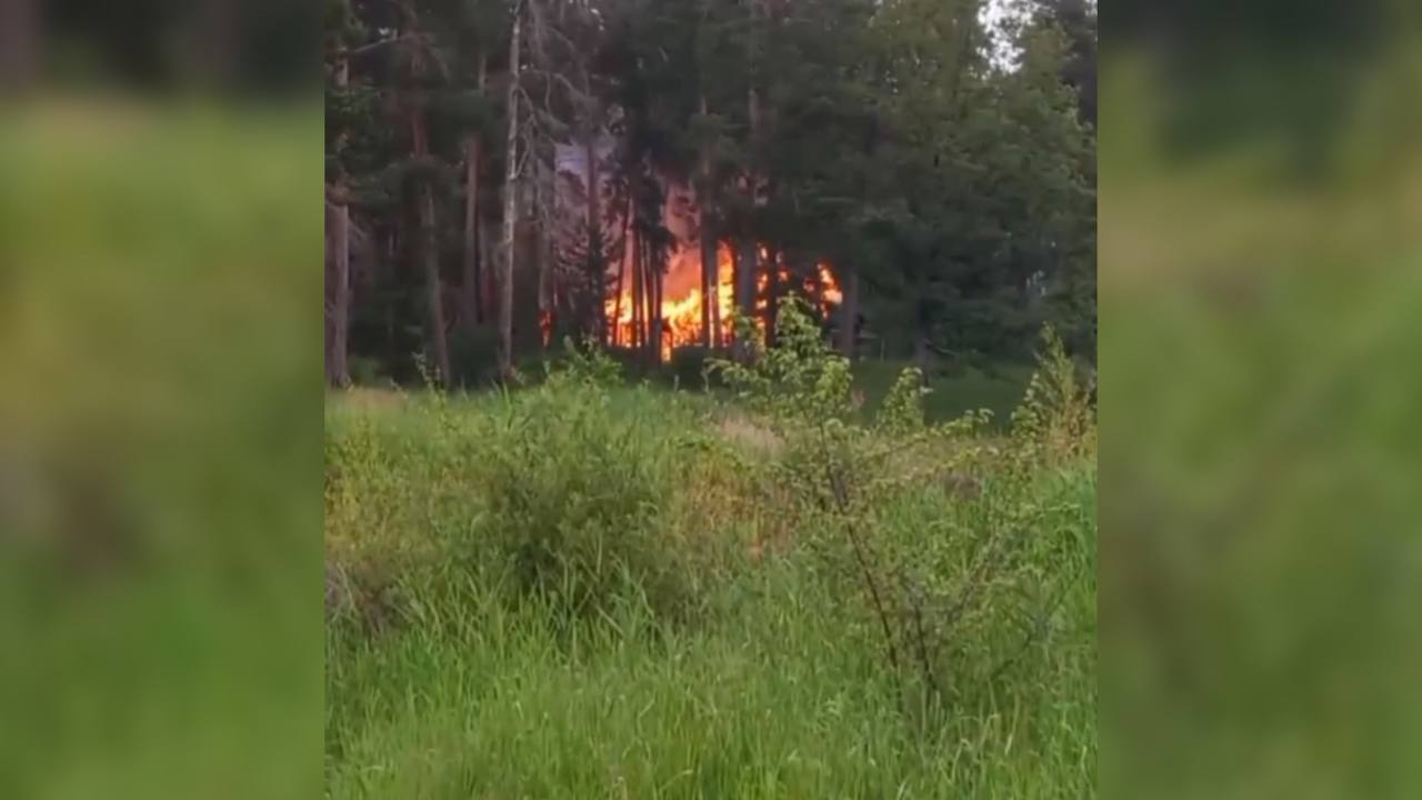 В воронежском микрорайоне вспыхнул заброшенный дом у озера – Новости  Воронежа и Воронежской области – Вести Воронеж