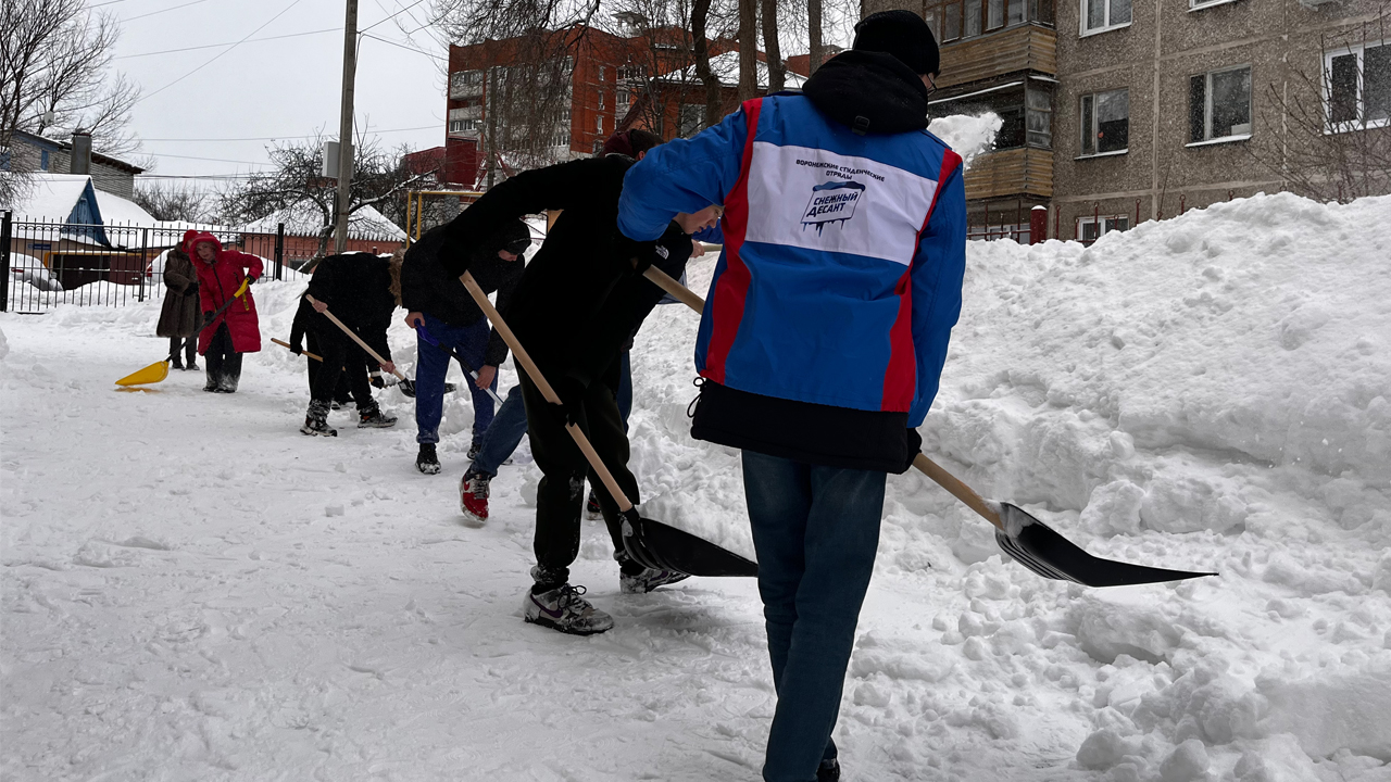 Студенты помогли расчистить от снега детский сад в Воронеже – Новости  Воронежа и Воронежской области – Вести Воронеж