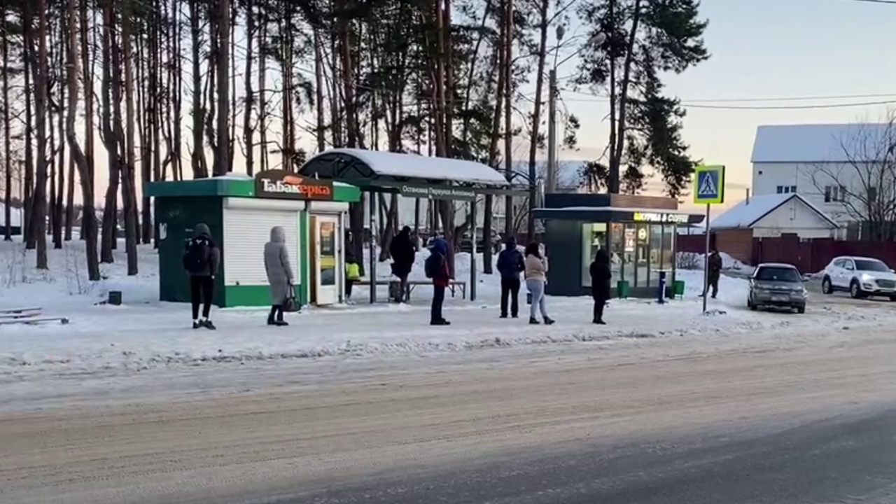 Люди хуже». Жители Борового в Воронеже заступились за живущих в будках  собак – Новости Воронежа и Воронежской области – Вести Воронеж