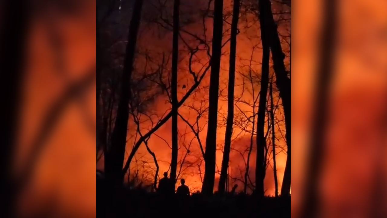 Огонь охватил несколько домов в посёлке рыбачий под Воронежем – Новости  Воронежа и Воронежской области – Вести Воронеж