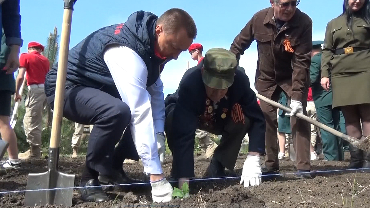 В Воронежской области участник войны посадил дерево в честь Дня Победы –  Новости Воронежа и Воронежской области – Вести Воронеж