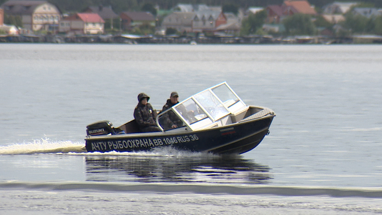 Тут рыбы нет. На Воронежском водохранилище прошёл рейд по браконьерам –  Новости Воронежа и Воронежской области – Вести Воронеж