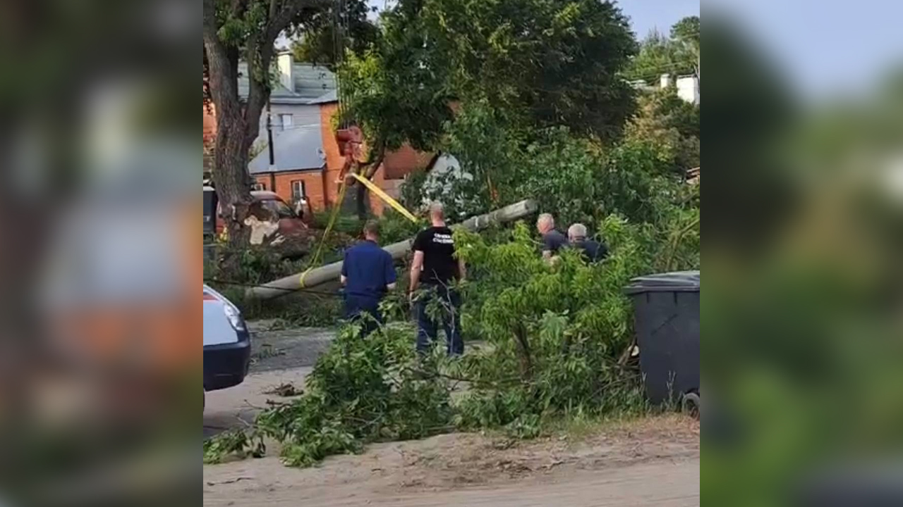 Фонарь и дерево рухнули на оживлённый участок дороги в Воронеже – Новости  Воронежа и Воронежской области – Вести Воронеж