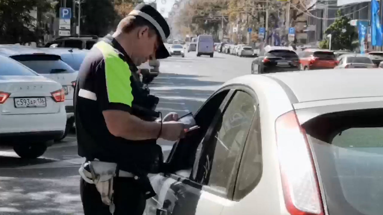 На границе Тульской области на видео сняли охоту серой цапли - Новости Тулы и области - 1tulatv