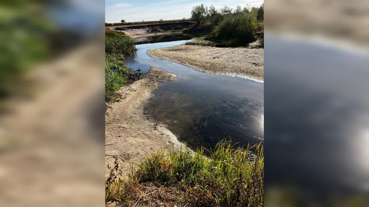 Жители воронежского микрорайона заявили о резком падении уровня воды в  Усманке – Новости Воронежа и Воронежской области – Вести Воронеж